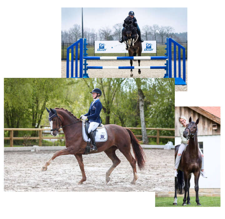 kira wegmann derby community collage reiten pferd kira wegmann derby community collage reiten pferd